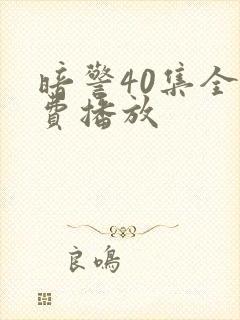 暗警40集全免费播放