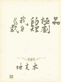 《我的极品女总裁》短剧封面