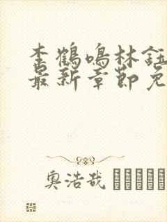 李鹤鸣林钰小说最新章节免费阅读