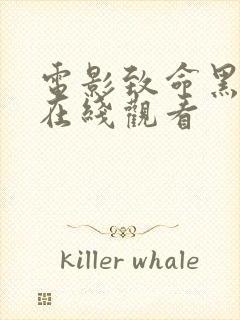 电影致命黑兰2在线观看封面