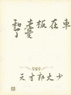 和老板在车里做了爱封面