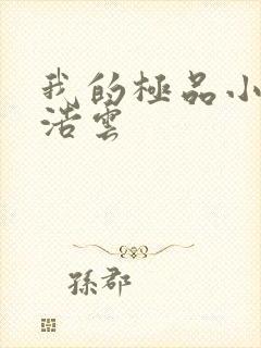 我的极品小姨林浩云