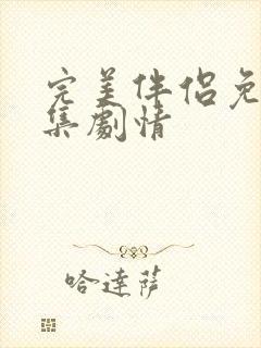 完美伴侣免费全集剧情封面