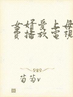 女婿爱上母娘免费播放电视剧最新章
