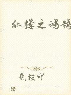 红楼之鸿鹄封面