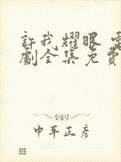 许我耀眼 电视剧全集免费观看