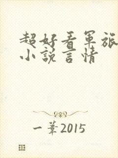 超好看军旅甜文小说言情封面