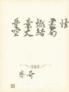 爱意燃尽情深成空大结局封面