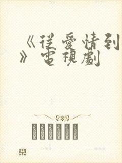 《从爱情到幸福》电视剧