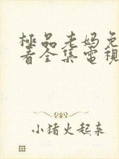 极品老妈免费观看全集电视剧下