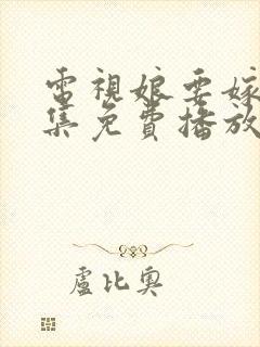 电视娘要嫁人全集免费播放