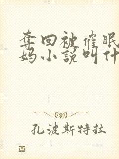 夺回被催眠的妈妈小说叫什么