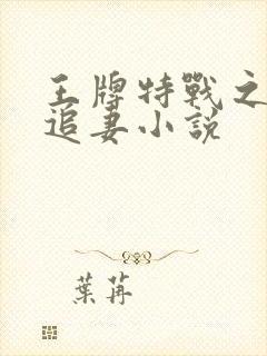 王牌特战之军少追妻小说封面
