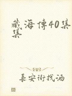 藏海传40集全集封面