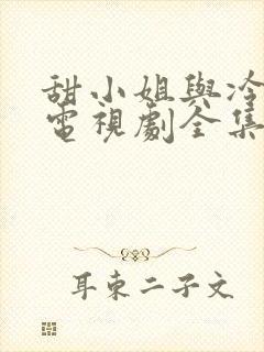 甜小姐与冷先生电视剧全集免费观看封面