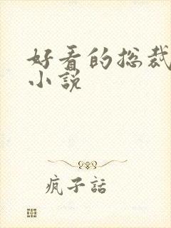 好看的总裁豪门小说