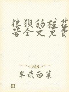 狼狈的校花张美若全文免费阅读最新