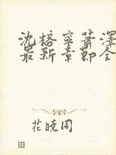 沈榕宁萧泽小说最新章节全文阅读