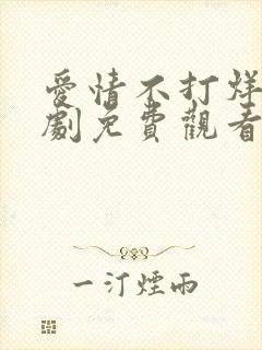 爱情不打烊连续剧免费观看