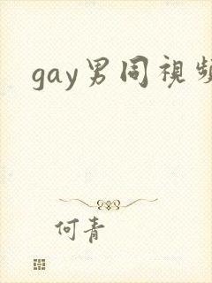 gay男同视频