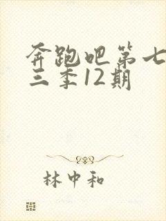 奔跑吧第七季第三季12期