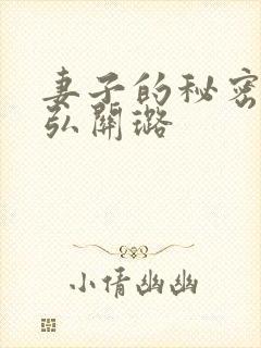 妻子的秘密乐正弘关璐封面