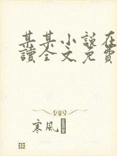 某某小说在线阅读全文免费