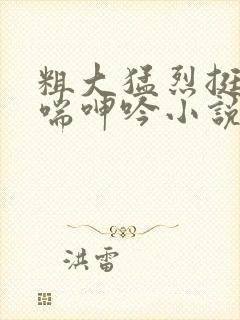 粗大猛烈挺进娇喘呻吟小说