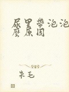 尿里带泡泡是什么原因