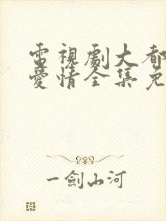 电视剧大都市小爱情全集免费播放