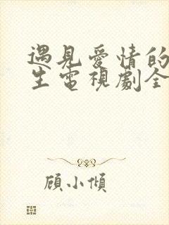 遇见爱情的利先生电视剧全集免费