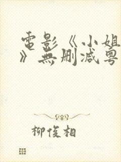 电影《小姐诱心》无删减粤语版