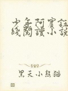 少年阿宾钰慧在线阅读小说txt