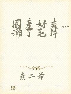 国产好爽…又高潮了毛片