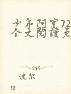 少年阿宾72章全文阅读免费