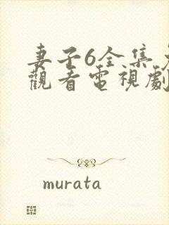 妻子6全集免费观看电视剧第11集