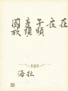 国产午夜在线播放视频