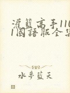 灌篮高手1101国语版全集免费封面