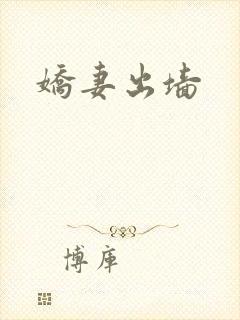 娇妻出墙封面