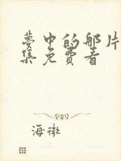 梦中的那片海全集免费看封面