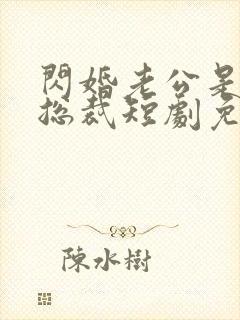 闪婚老公是千亿总裁短剧免费观看