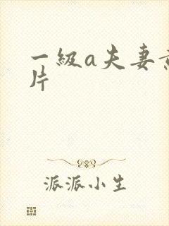 一级a夫妻黄色片封面