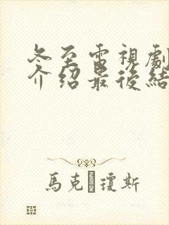 冬至电视剧剧情介绍最后结局