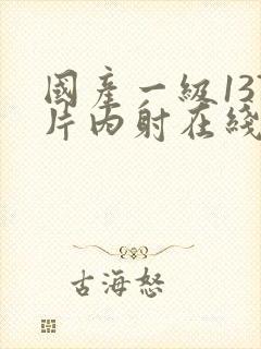 国产一级137片内射在线播放