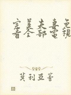 完美夫妻免费观看全部电视剧封面