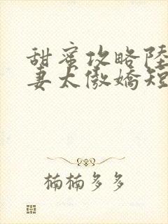 甜蜜攻略陆总前妻太傲娇短剧合集封面