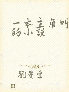 一本主角叫林萧的小说