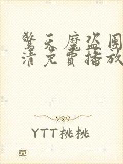 惊天魔盗团3高清免费播放