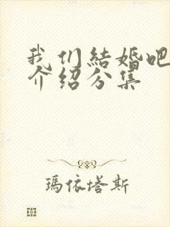 我们结婚吧剧情介绍分集封面