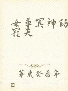 女尊冥神的邪魅宠夫